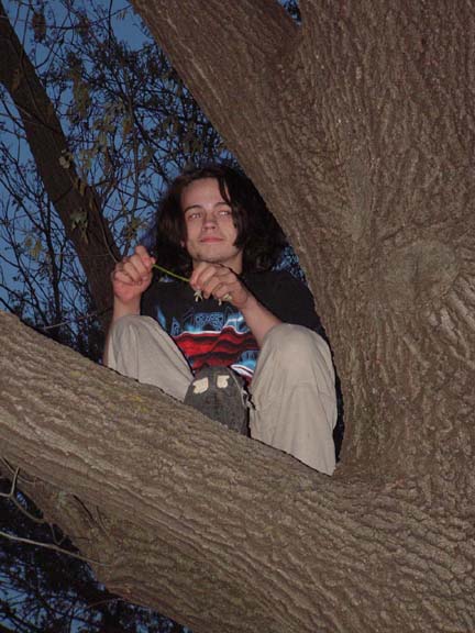 As I was taking pictures, someone said, "Hey, get the monkey in the tree" and way way way far away, I find this "lil monkey" sittin high up in a tree. :)